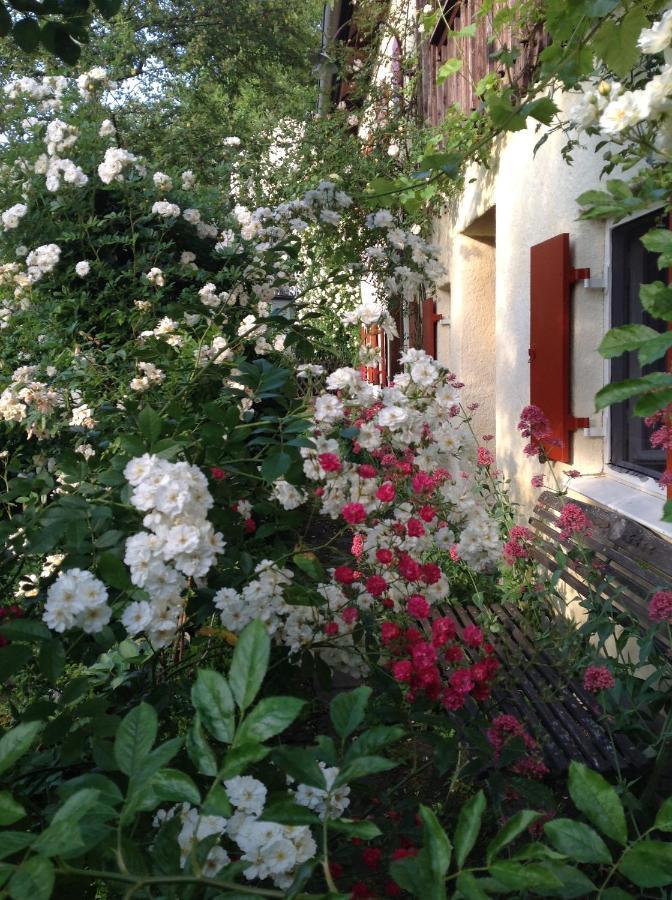 Bed and Breakfast Haus Probst Am See à Schondorf am Ammersee Extérieur photo